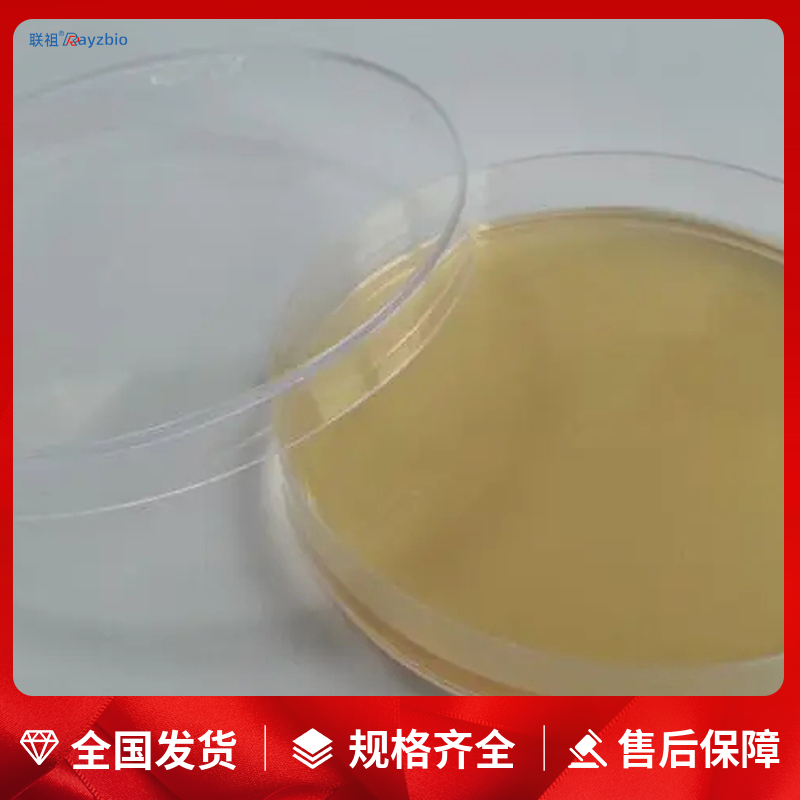 HUVEC培养基现货