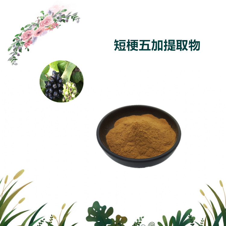 沃特莱斯生物 短梗五加提取物 水溶性粉末 1公斤起订 可寄样