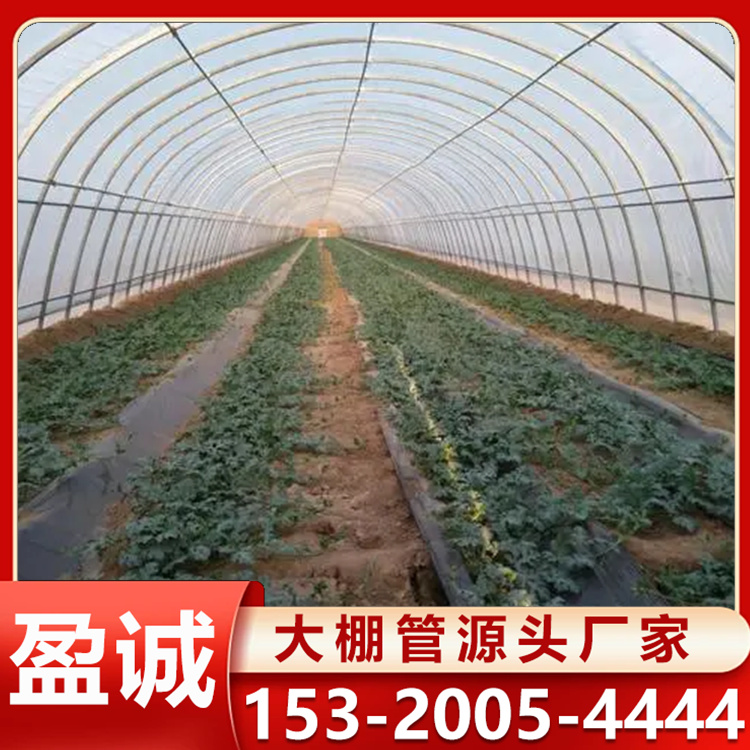 花卉温室暖棚 单体塑料镀锌钢管 薄膜西瓜大棚 保温耐寒