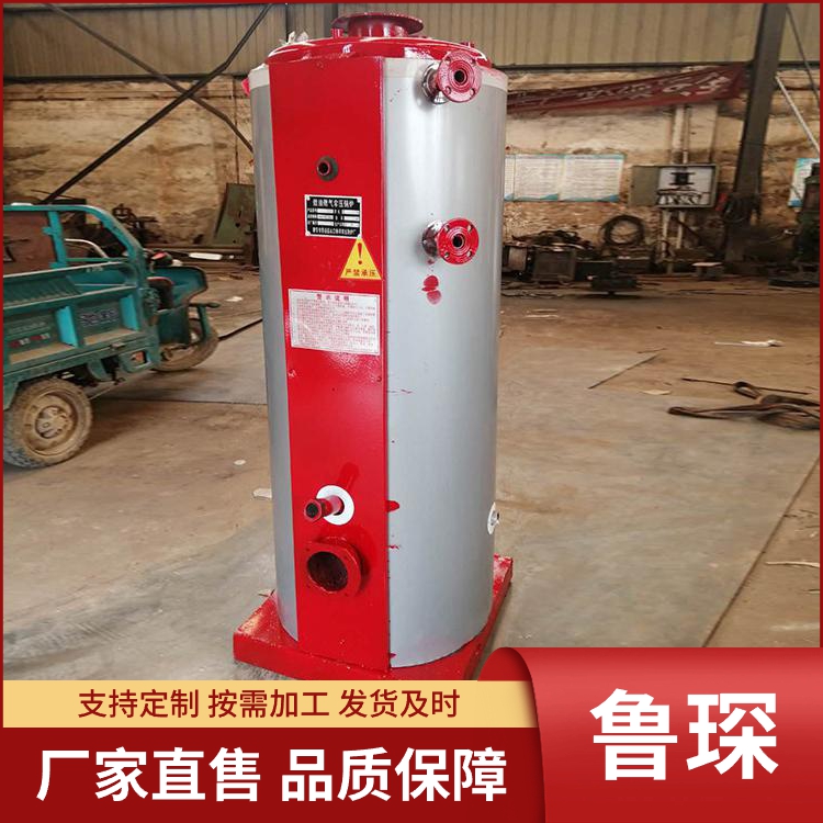 燃气燃油锅炉 大棚花卉锅炉蒸气发生器