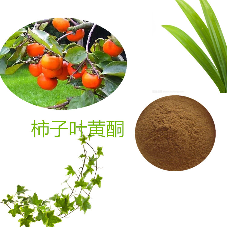 柿子果粉 98%  柿子提取物 10:1 水提 柿子浓缩汁