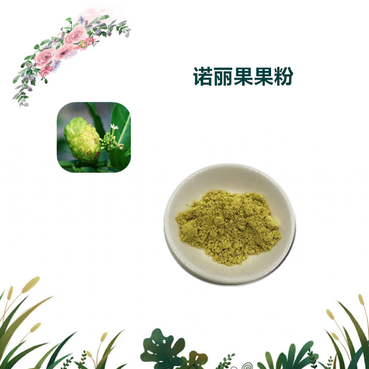 沃特莱斯生物 诺丽果速溶粉 诺丽果喷干粉 厂家直供 现货包邮