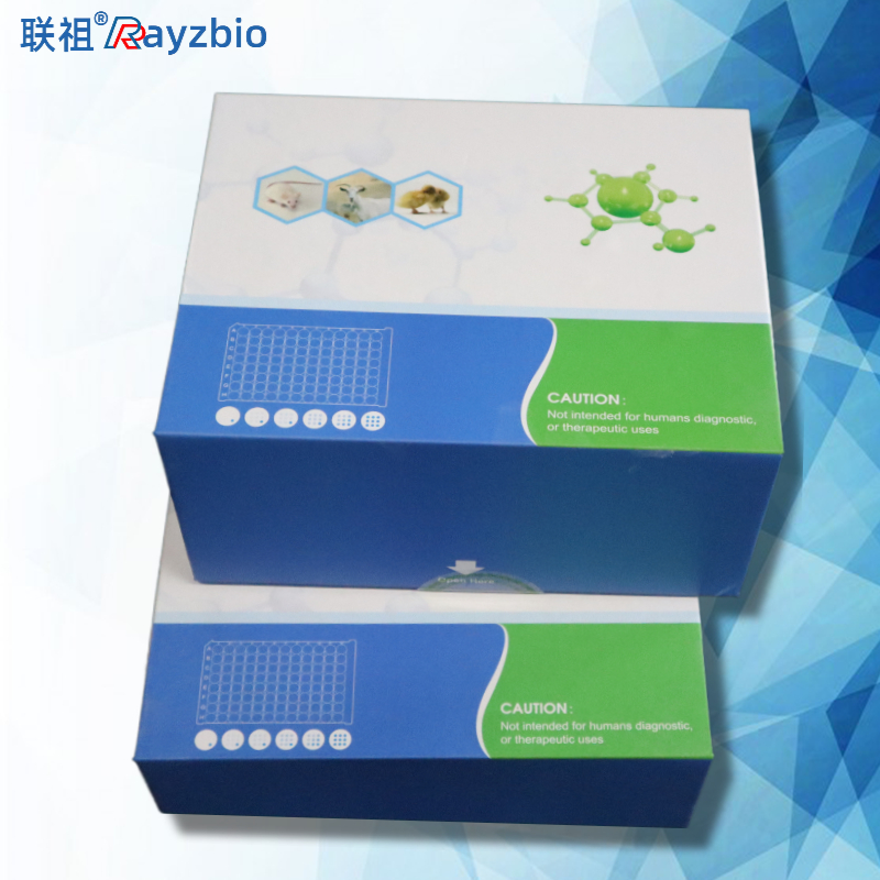 PCX足细胞标记蛋白/足盂蛋白ELISA试剂盒