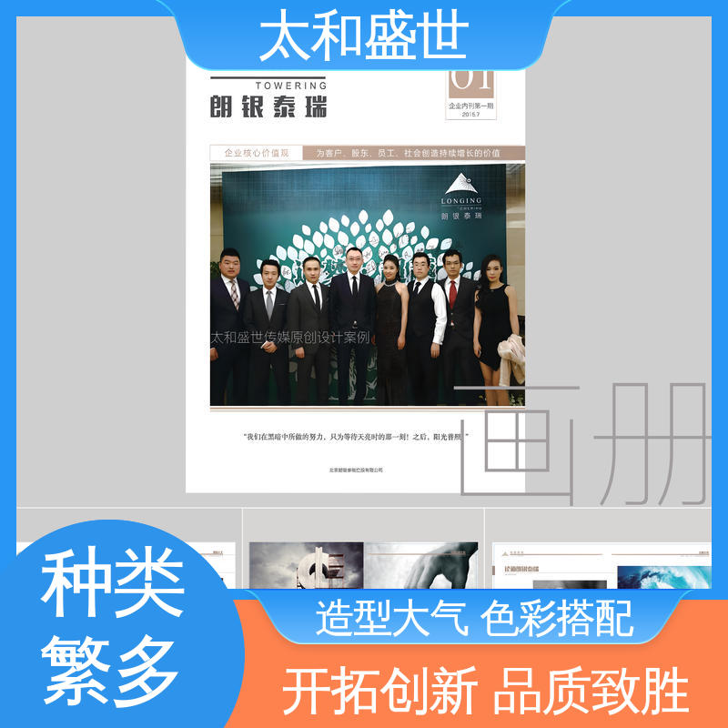 太和盛世 艺术感染力 项目手册设计 促进互动交流