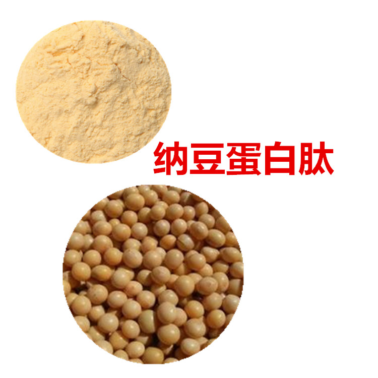 纳豆粉 纳豆提取物 10:1 水提 纳豆激酶 20000FU