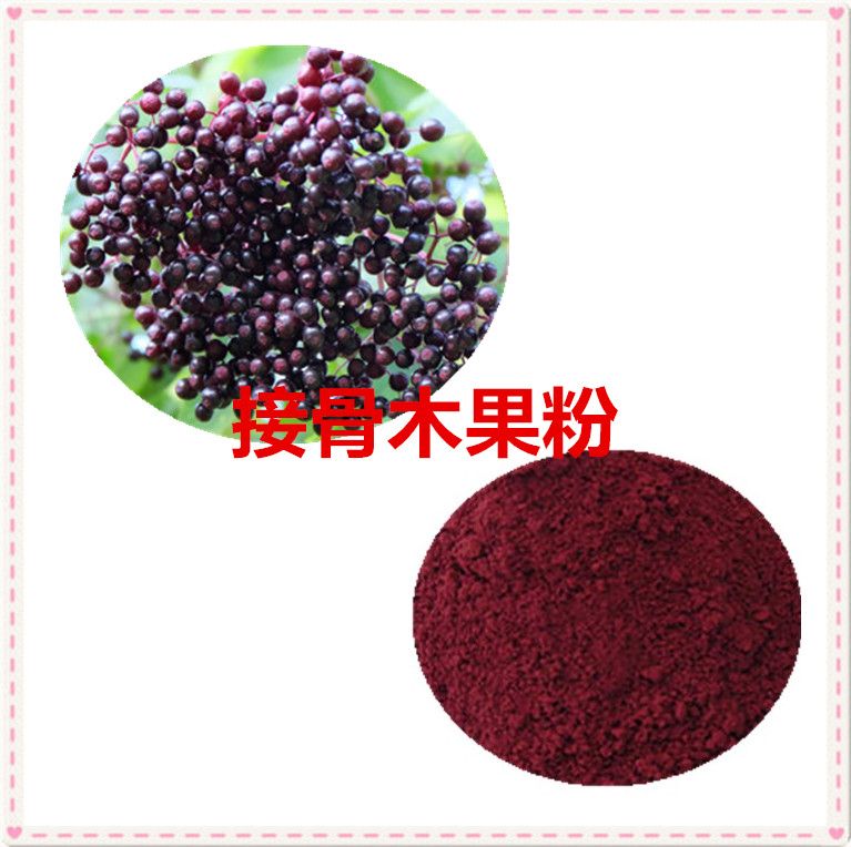 接骨木果粉 98% 接骨木莓浓缩粉 接骨木果浓缩汁