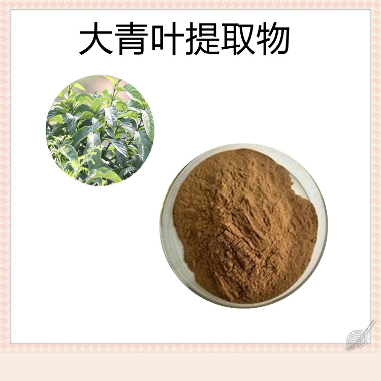 大青叶提取物   质量稳定   粉末细腻  无结块  无杂质  可寄样