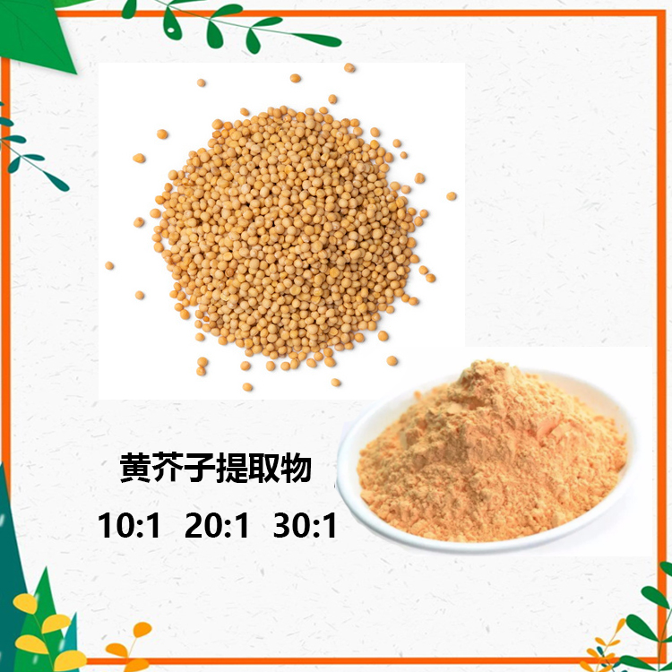 黄芥子提取物 10:1 水提 黄芥子浸膏 黄芥子浓缩粉