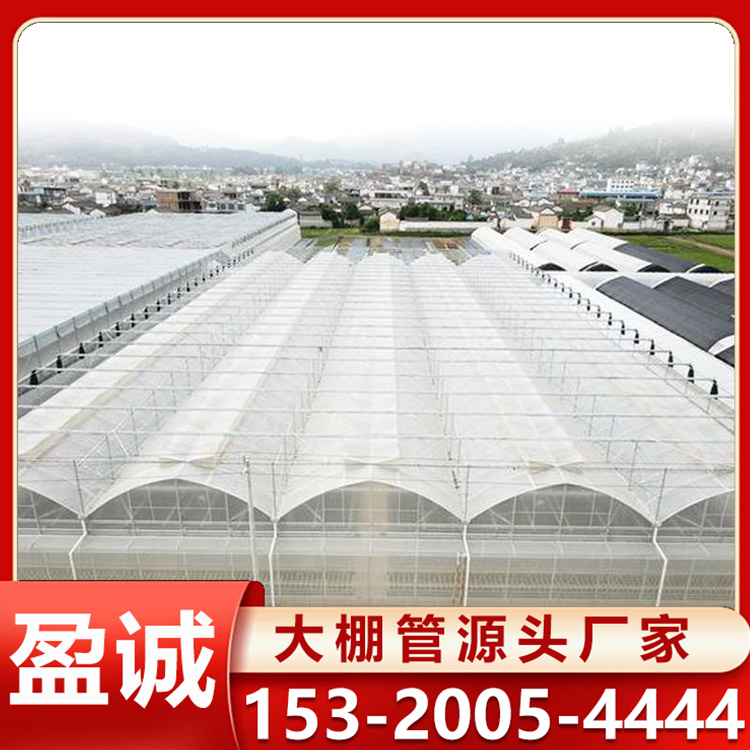 日光温室 维护简单 反季节蔬菜种植 内部空间大可机械化支持加工定制