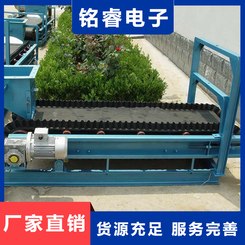 皮带秤 方便快捷 可自动运行 尺寸定制 铭睿电子