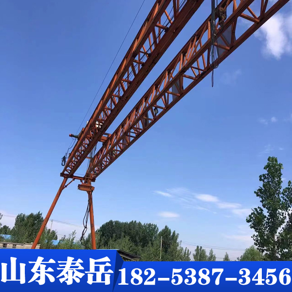 定制提梁机 型号齐全 可定制 厂家货源