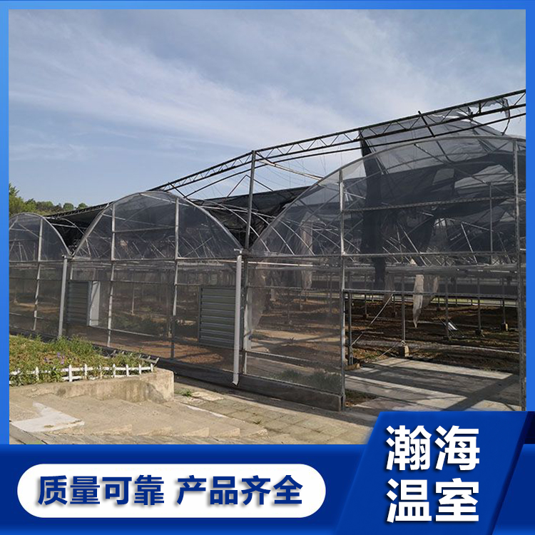 塑料大棚 花卉大棚 薄膜大棚 瀚海温室