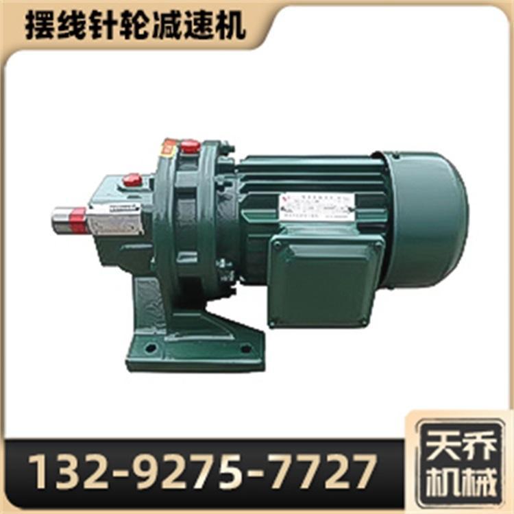 摆线针轮减速机 立式卧式直连型纯铜电机 行星减速器