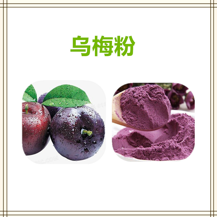 沃特莱斯生物 乌梅粉 水溶性粉末 喷雾干燥粉 1公斤起订 可寄样