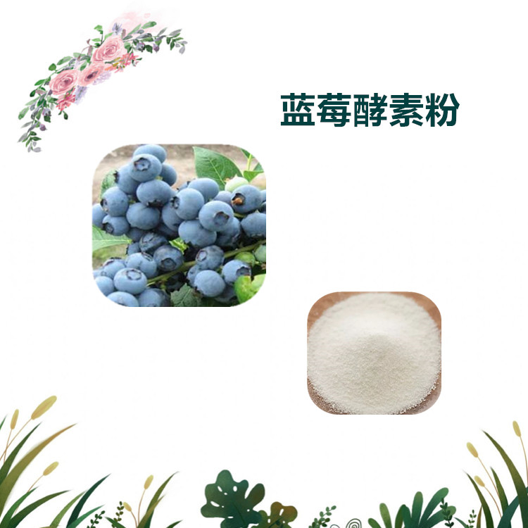 沃特莱斯生物 蓝莓酵素粉 蓝莓速溶粉 厂家直供 现货包邮