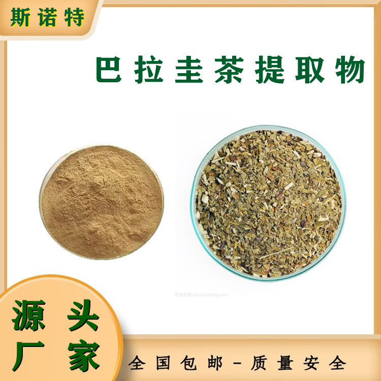 巴拉圭茶提取物 马黛茶提取物 棕色粉末 可做食品原料 资质全