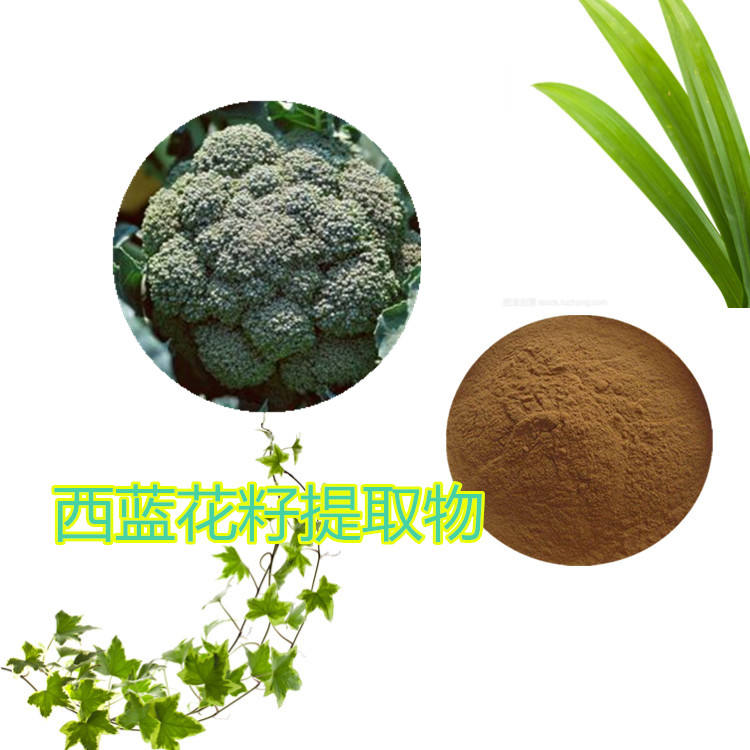 西蓝花种子水提物 10:1 水提 萝卜硫素 0.3% 1%