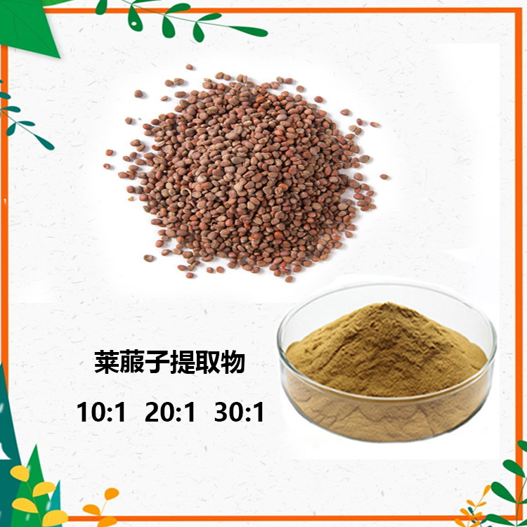 莱菔子提取物 10:1 水提 莱菔子粉 莱菔子浓缩粉