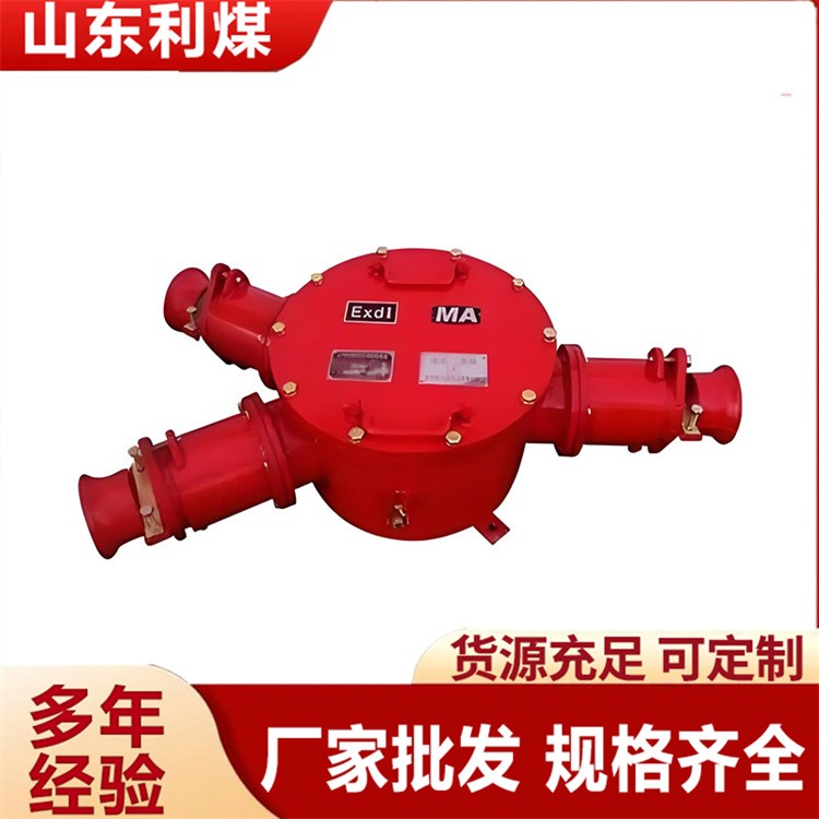 电缆接线盒 利煤供应BHG1-200/10-2G矿用隔爆型低压电缆接线盒 光纤接线盒