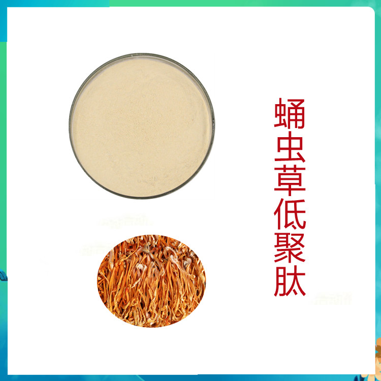 蛹虫草低聚肽   含多种营养成分    国标生产    植物原料    质量稳定