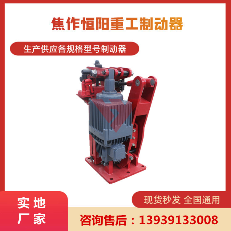 机械制动电力液压臂盘式制动器YP32-1100-E3000-80快速报价