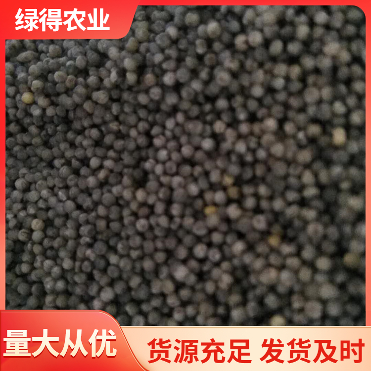 黑谷种批发价格