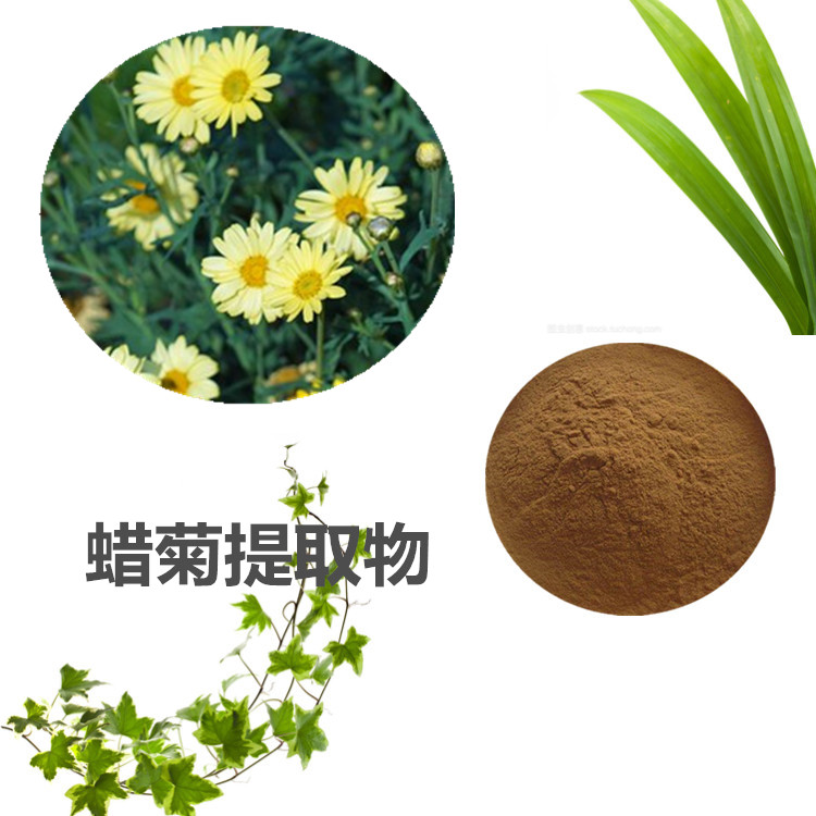 蜡菊提取物 10:1 水提 多规格比例 蜡菊浓缩粉 蜡菊提取液