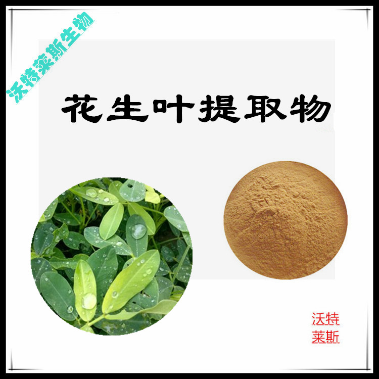 花生叶提取物 10:1 水提 花生叶浓缩粉 花生叶水溶粉