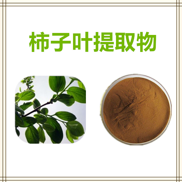 沃特莱斯生物 柿子叶提取物 速溶粉 喷雾干燥粉 1公斤起订