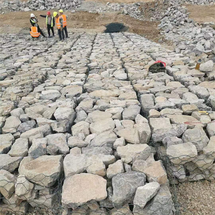 雷诺护垫报价