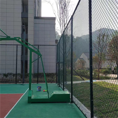 蓝球架厂家_篮球架_国标生产- 蓝球架厂家