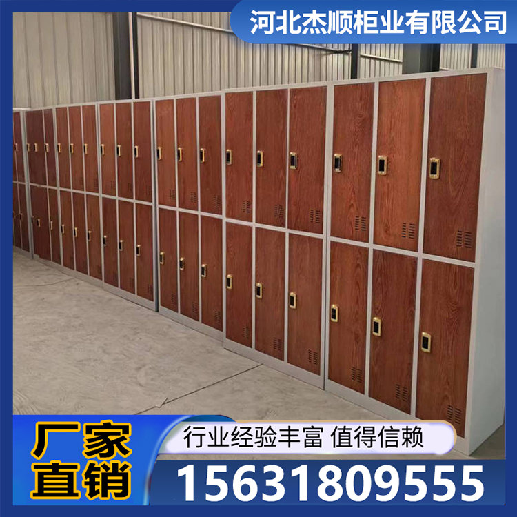 浴室更衣柜 电子存储电子存包柜 工艺先进