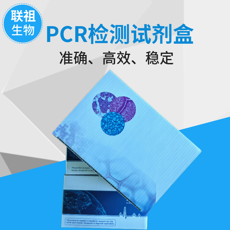 荧光定量PCR试剂盒说明书