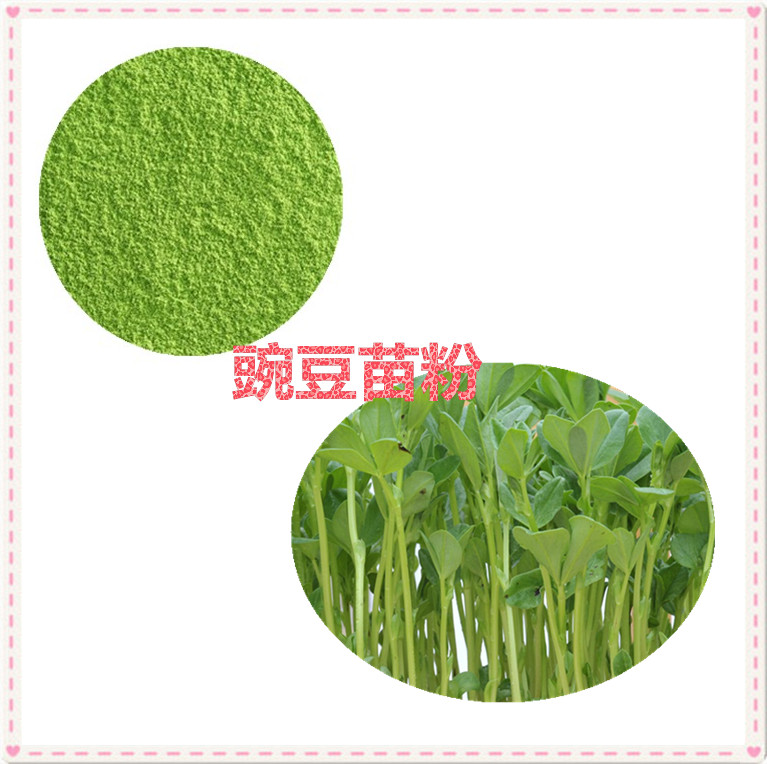 豌豆苗提取物 10:1 水提 豌豆苗粉 豌豆苗浸膏 豌豆苗浓缩粉