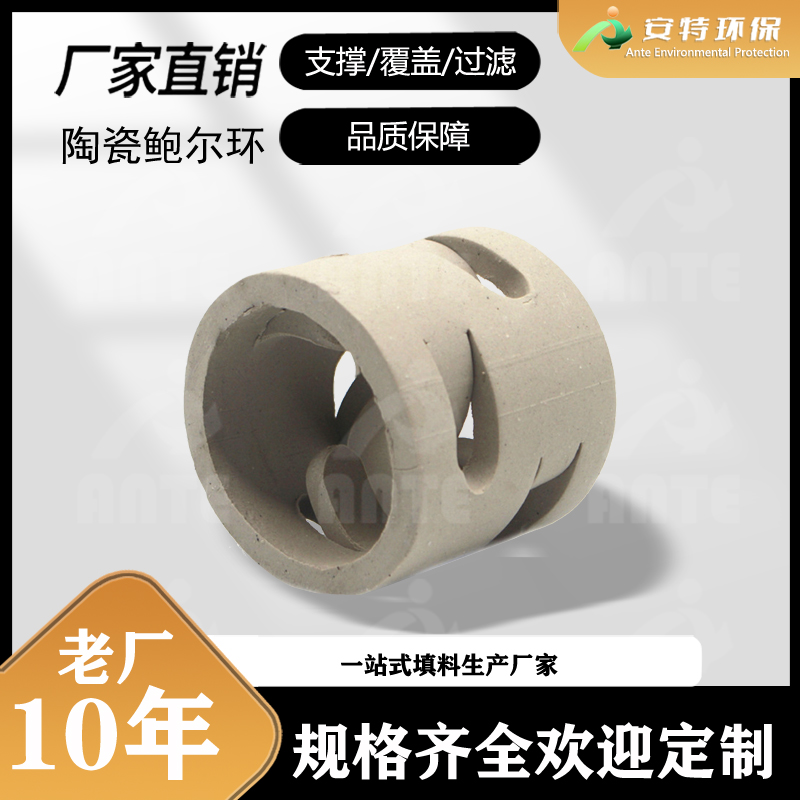 安特环保 陶瓷鲍尔环 废气净化塔反应吸收填料 38mm规格