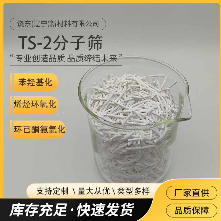 饶东 条形TS-2分子筛 钛硅沸石 烷烃的部分氧化催化剂