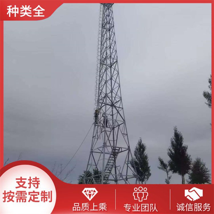 定制避雷塔 满足不同场景 专业设计安装