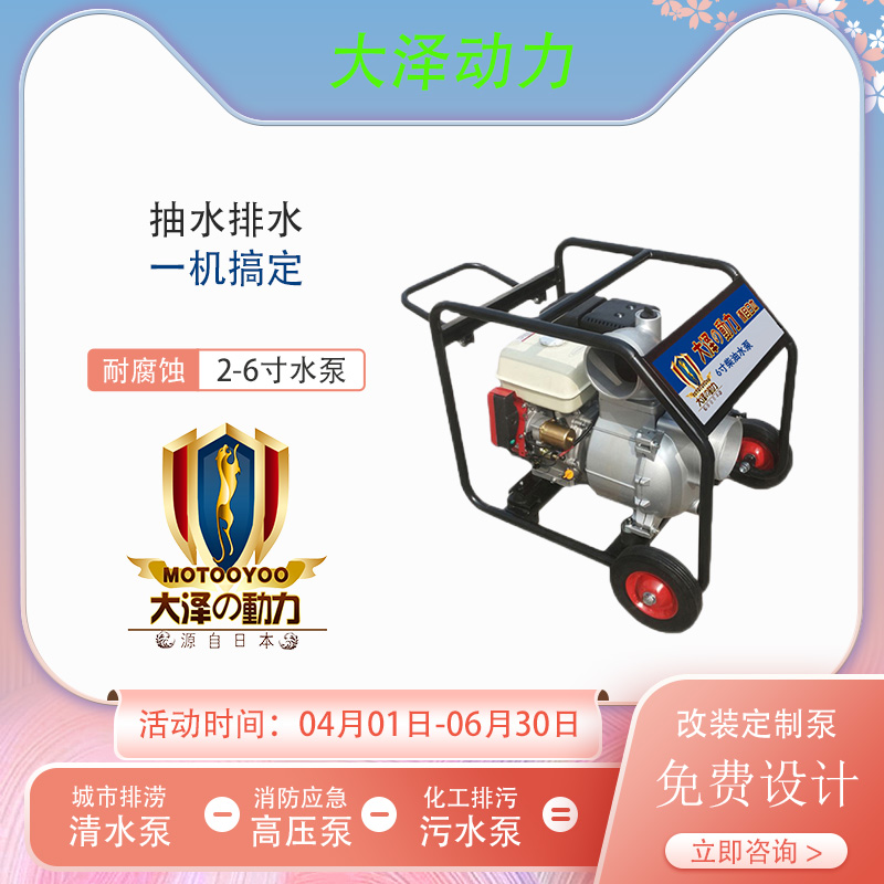 6寸柴油水泵 大泽动力TO60EW