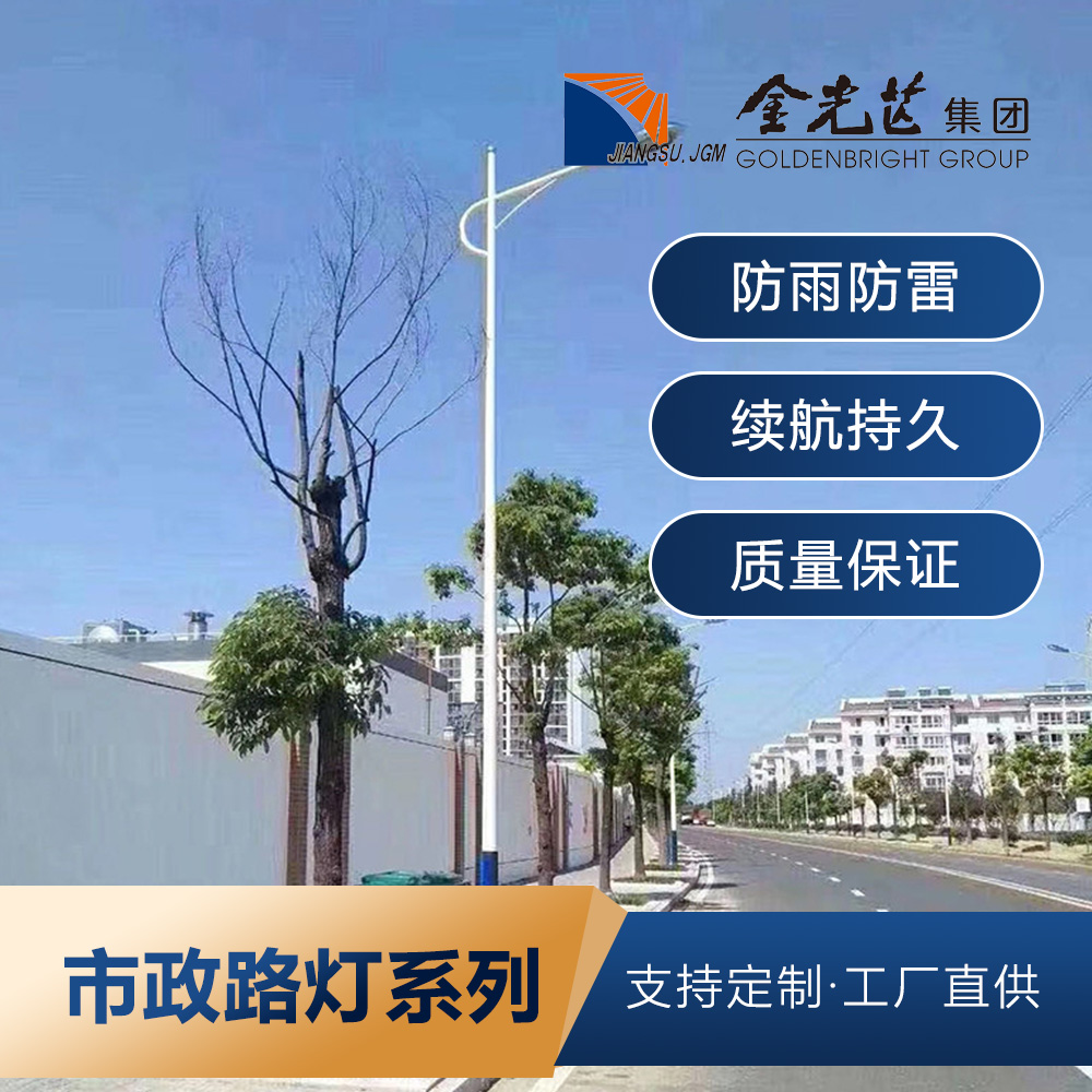 金光芒集团可定制市政市电led大功率景观高杆路灯