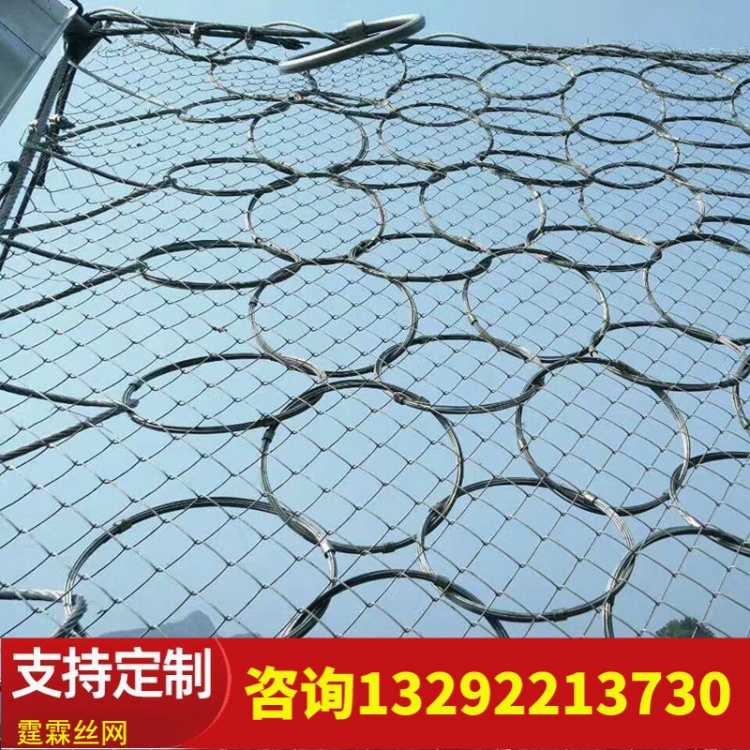 护坡网 环形网 边坡防护网被动防护网