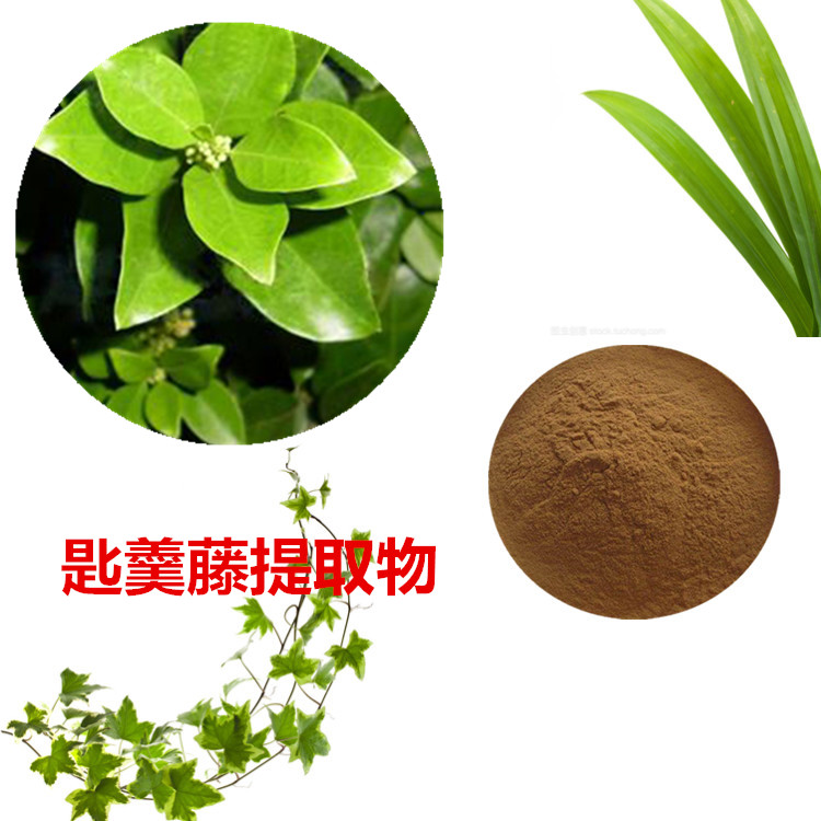 匙羹藤提取物 10:1 水提 多规格比例 匙羹藤粉 98%