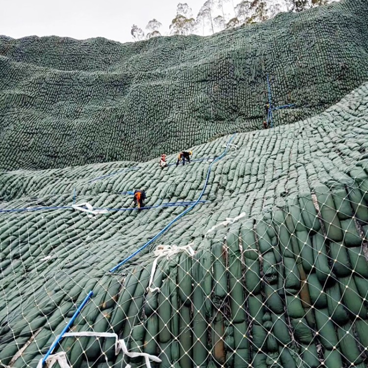 生态袋 绿色生态土工袋 河岸护坡常用植生袋 矿山复绿长丝土工布袋