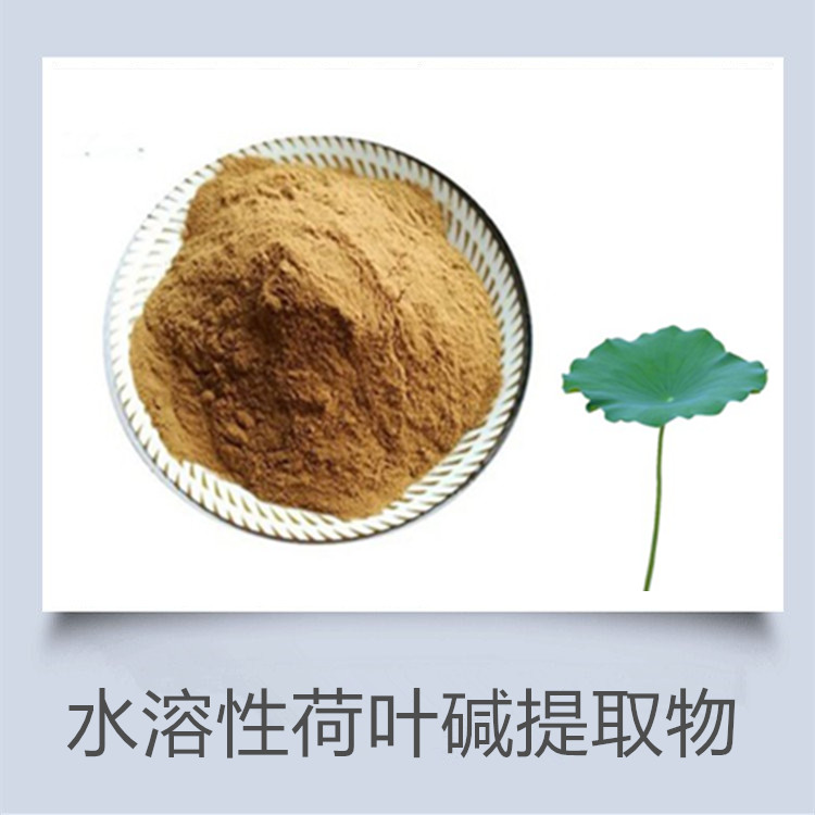 荷叶肽粉 荷叶碱 荷叶黄酮提取物 植物萃取粉 有资质厂家