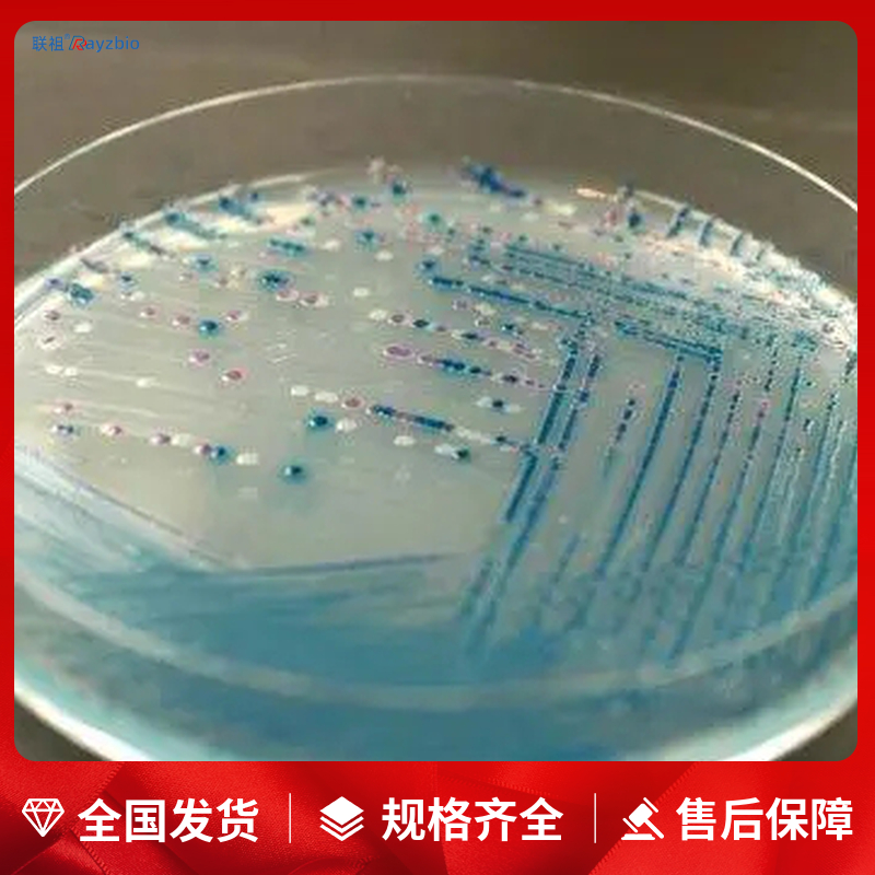 HUVEC培养基咨询电话