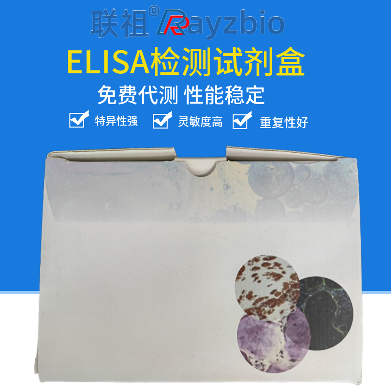 sRANK可溶性核因子κB受体活化因子ELISA检测试剂盒