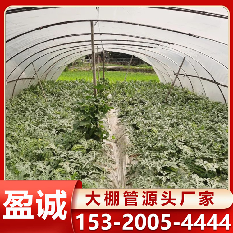 西瓜插地棚 用大棚管 蔬菜棚钢管骨架搭建管 6分镀锌钢管