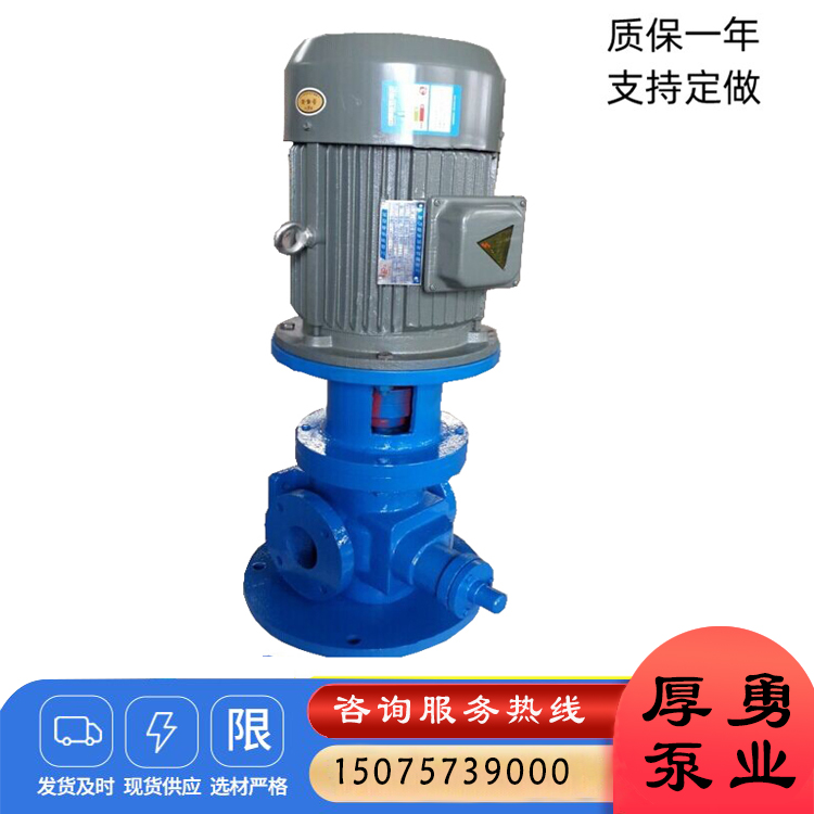 圆弧齿轮泵 LYB立式润滑油泵 增压泵  支持定做