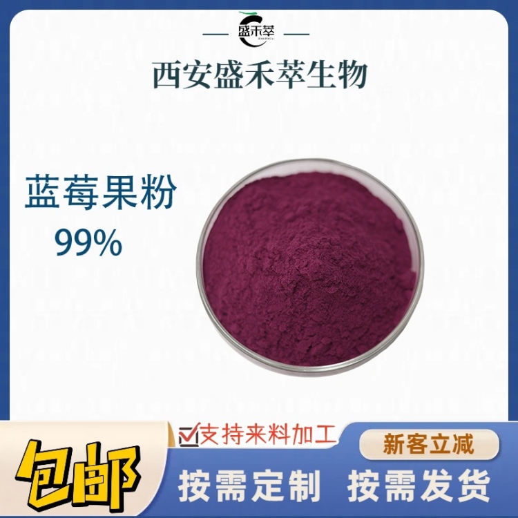 蓝莓粉 99% 速溶蓝莓粉 果汁粉 蓝莓果粉 果蔬粉 1kg起发 现货