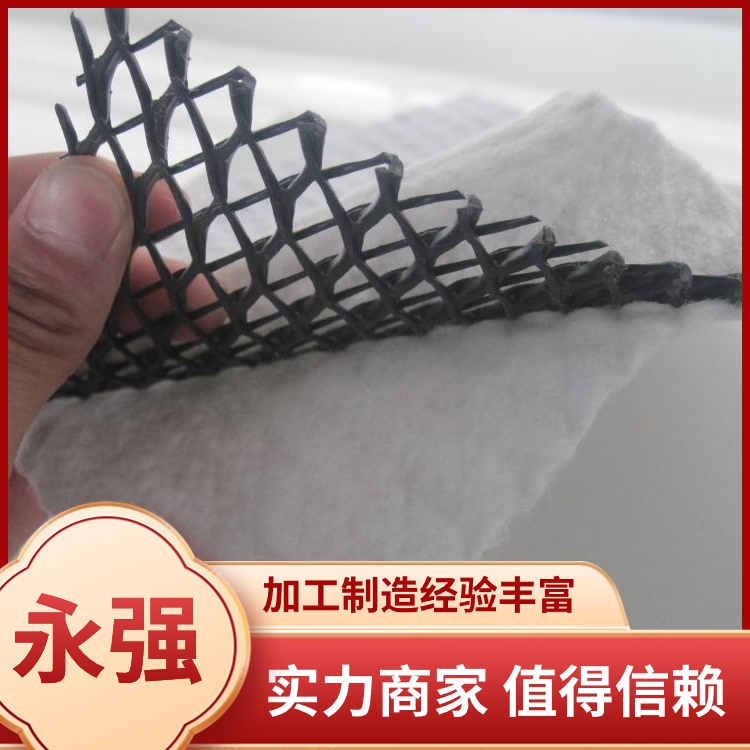 三维复合排水网图片