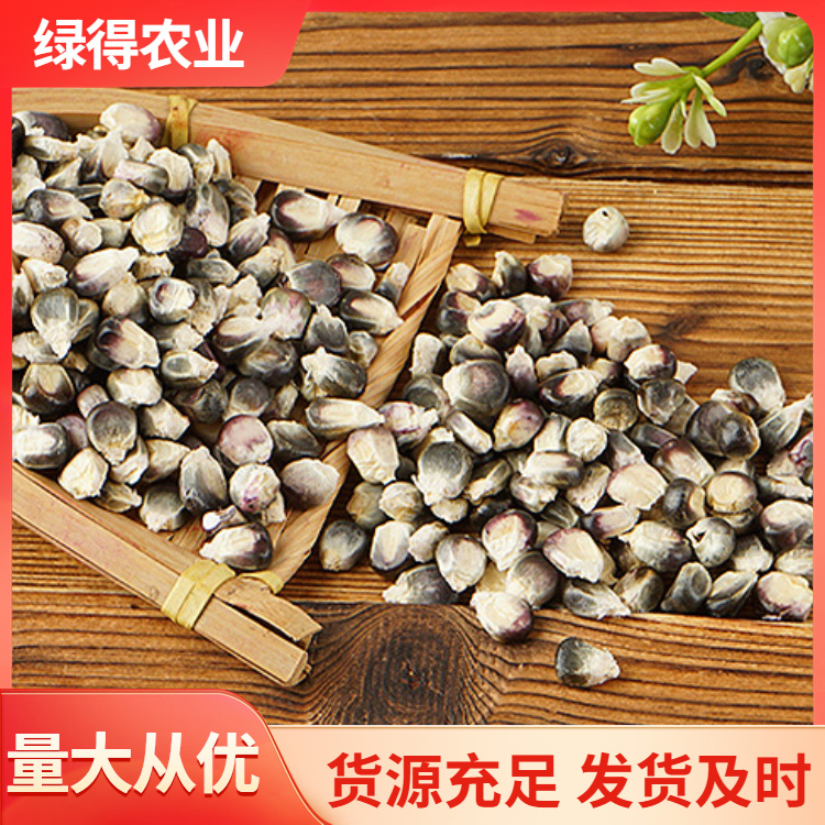 黑玉米种选材严格